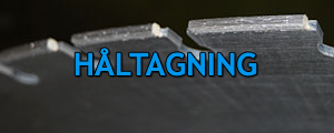 haltagning