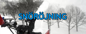 sno